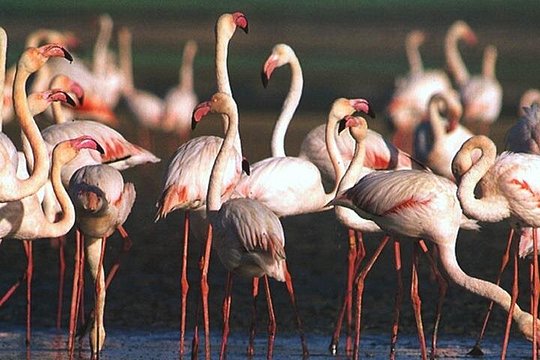 Tour image 8