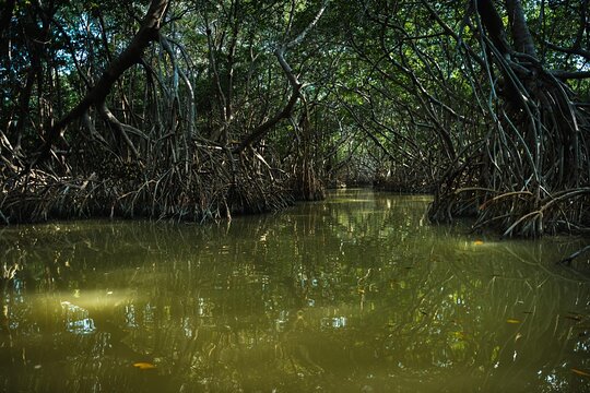 Tour image 6